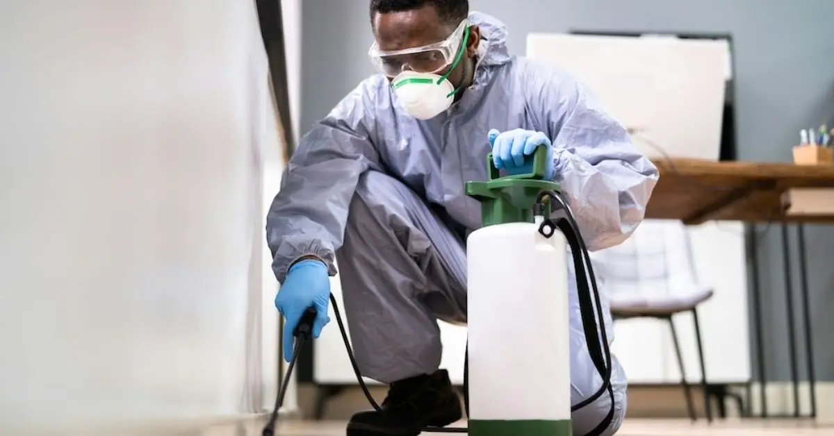 Seasonal Pest Prevention Habits