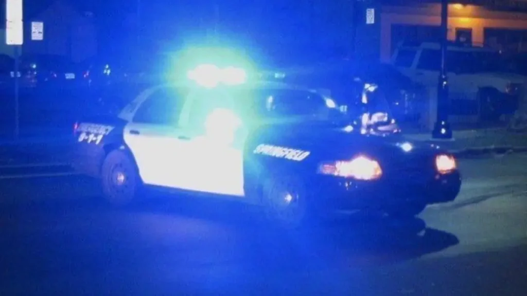 Springfield Home Robbery