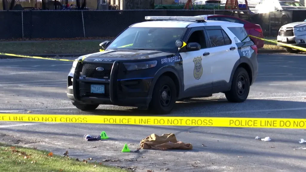 Springfield Home Robbery