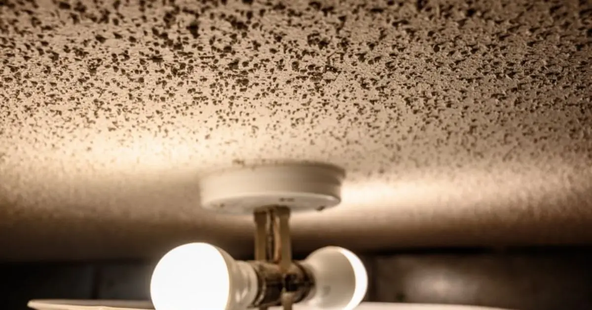 Steps to Clean Your Popcorn Ceiling
