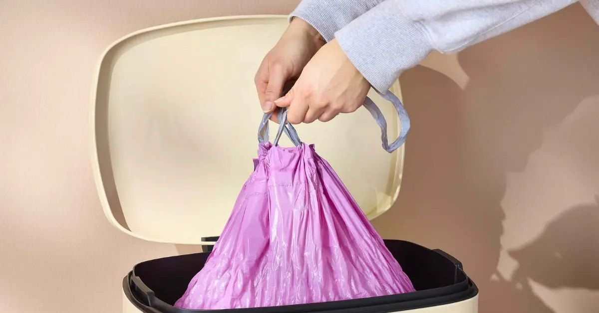 Why Your House Is Full of Flies