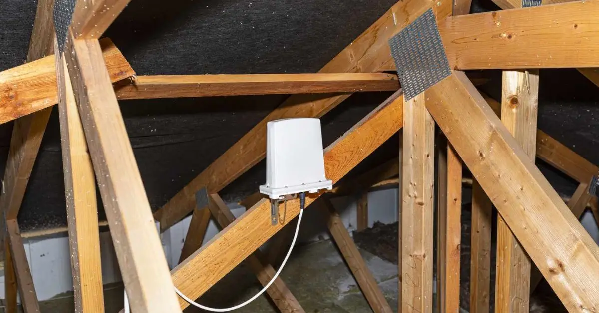 attic storage items to toss