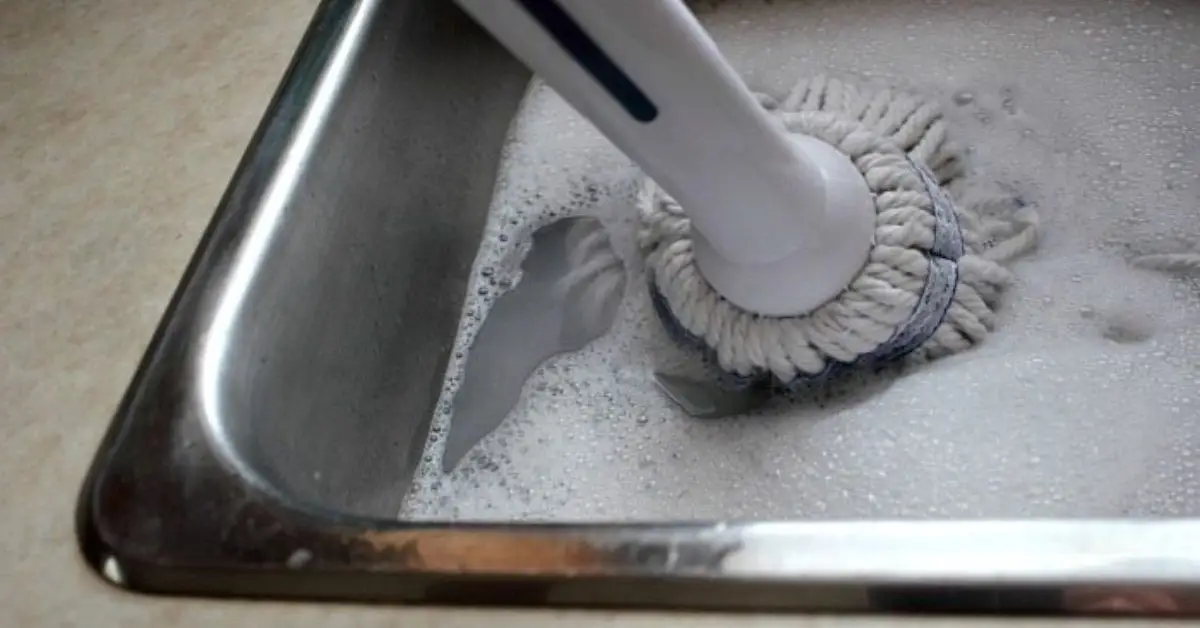 can you give plants old mop water