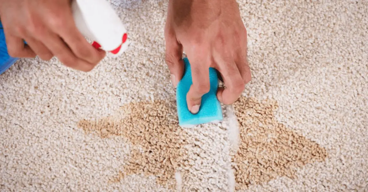cleaning carpet with baking soda and hydrogen peroxide