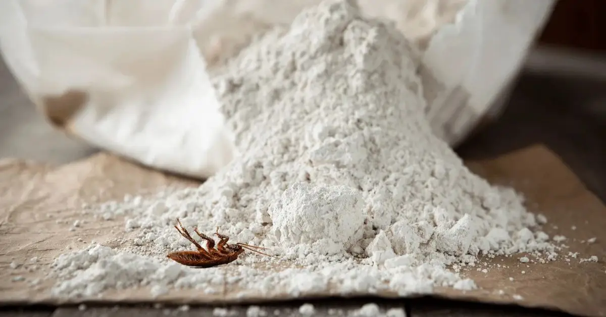 entomologist recommended roach repellents