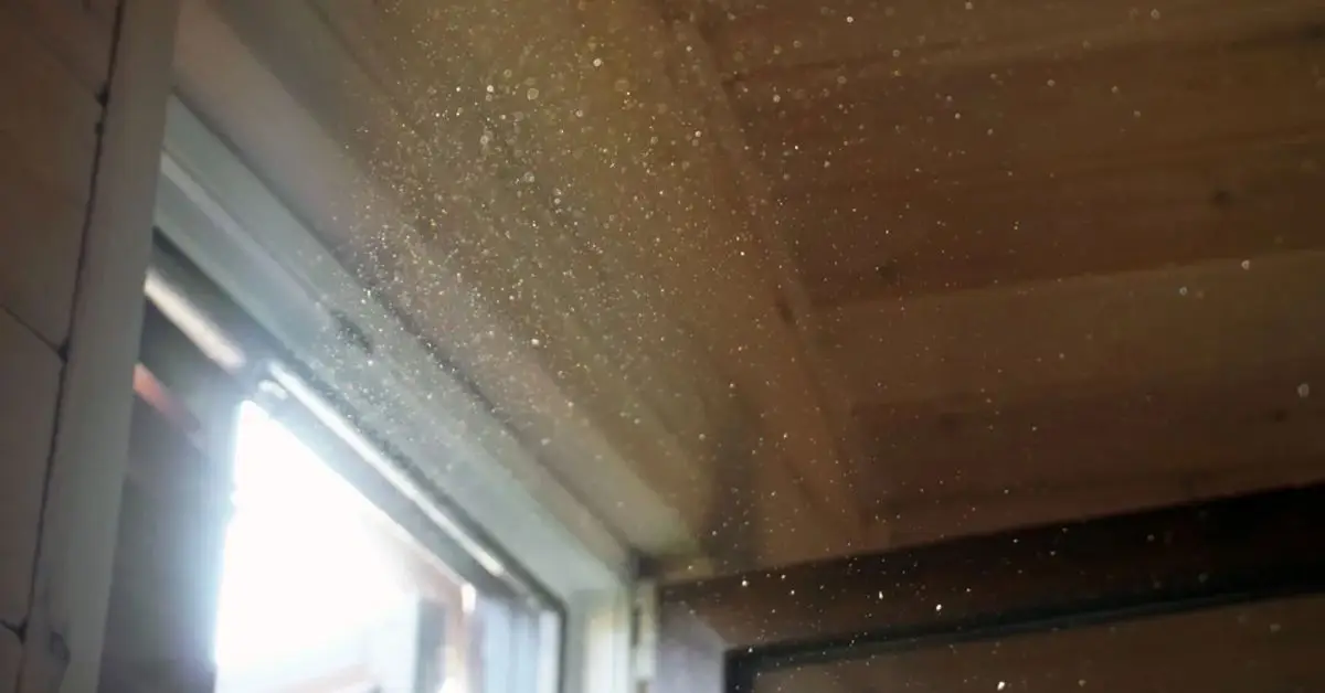 how often you should dust in winter