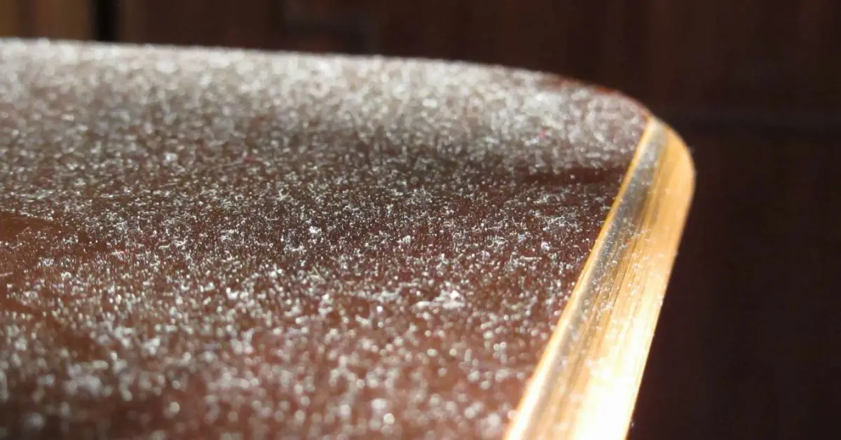 how often you should dust in winter