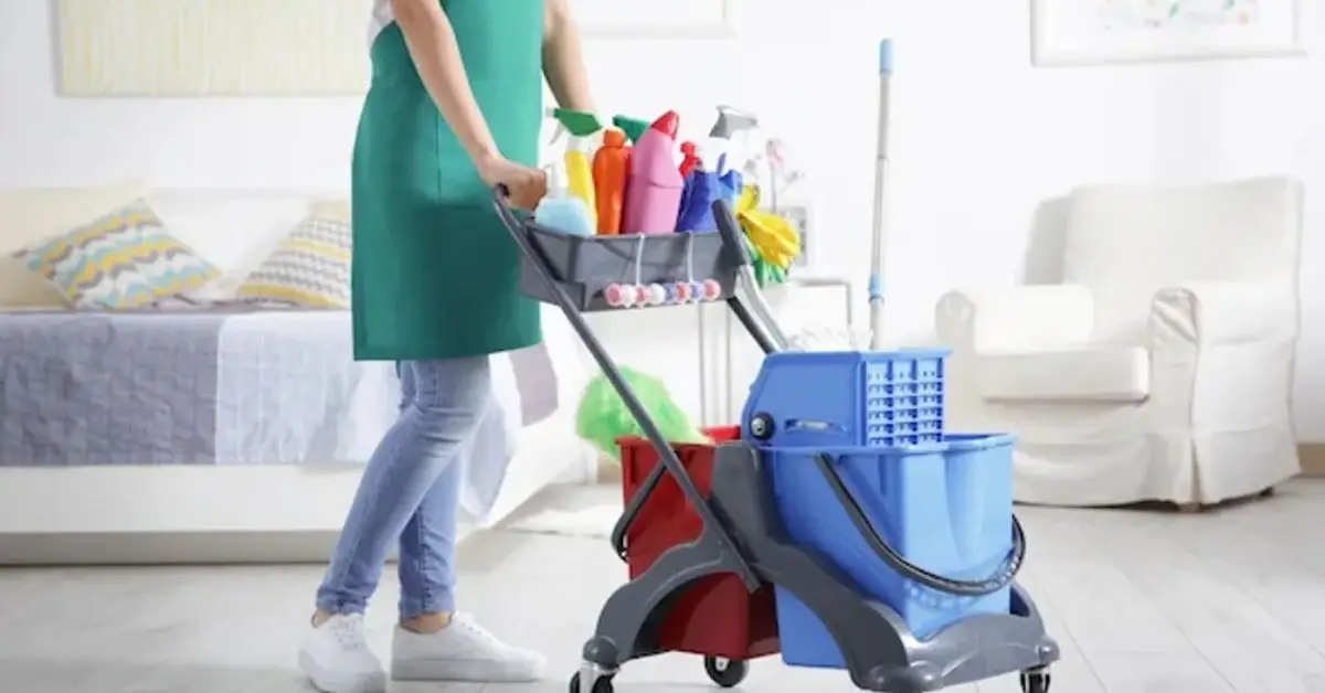 how to disinfect house after flu