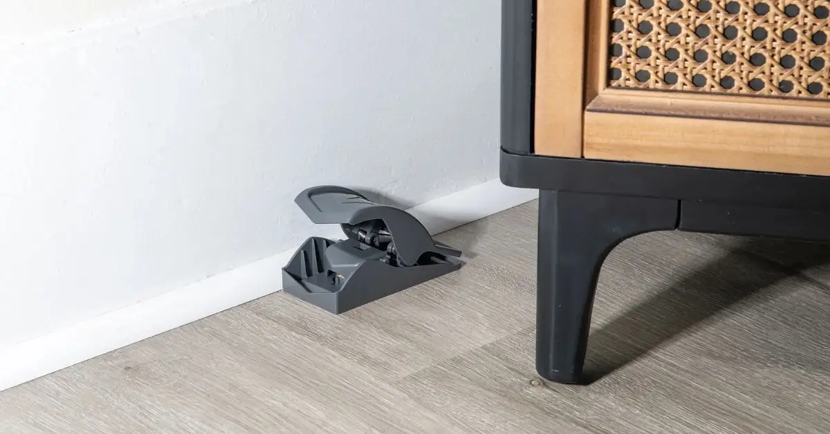 how to hide mouse traps