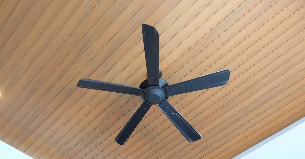 how to keep ants flies and Mosquitoes out of your house