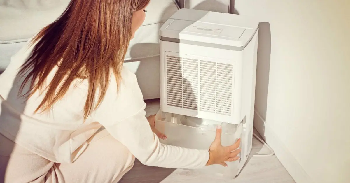 how to keep humidifier mold free in winter