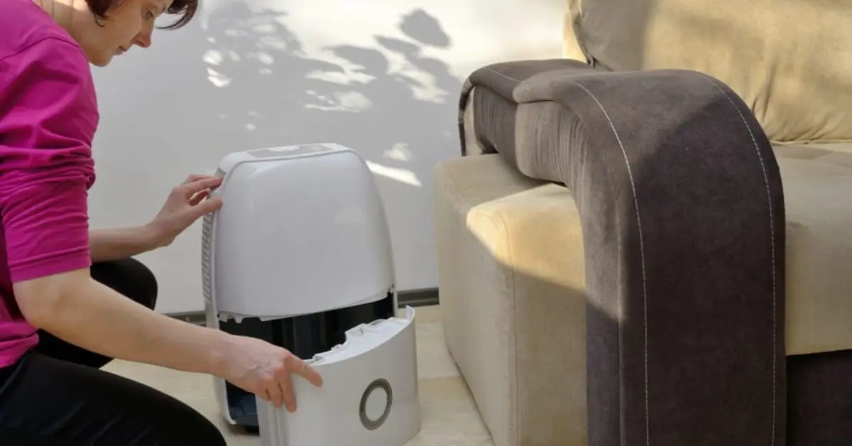 how to keep humidifier mold free in winter