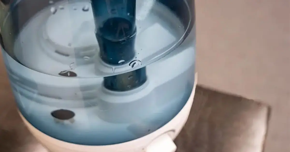 how to keep humidifier mold free in winter