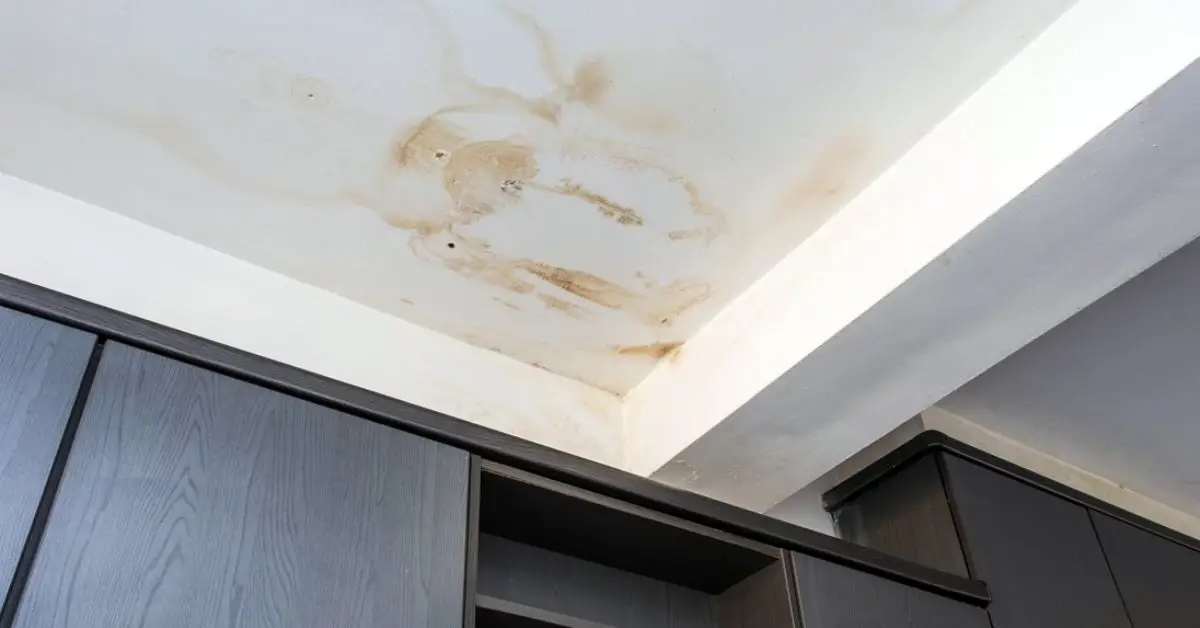 how to paint over water stains and stop them returning