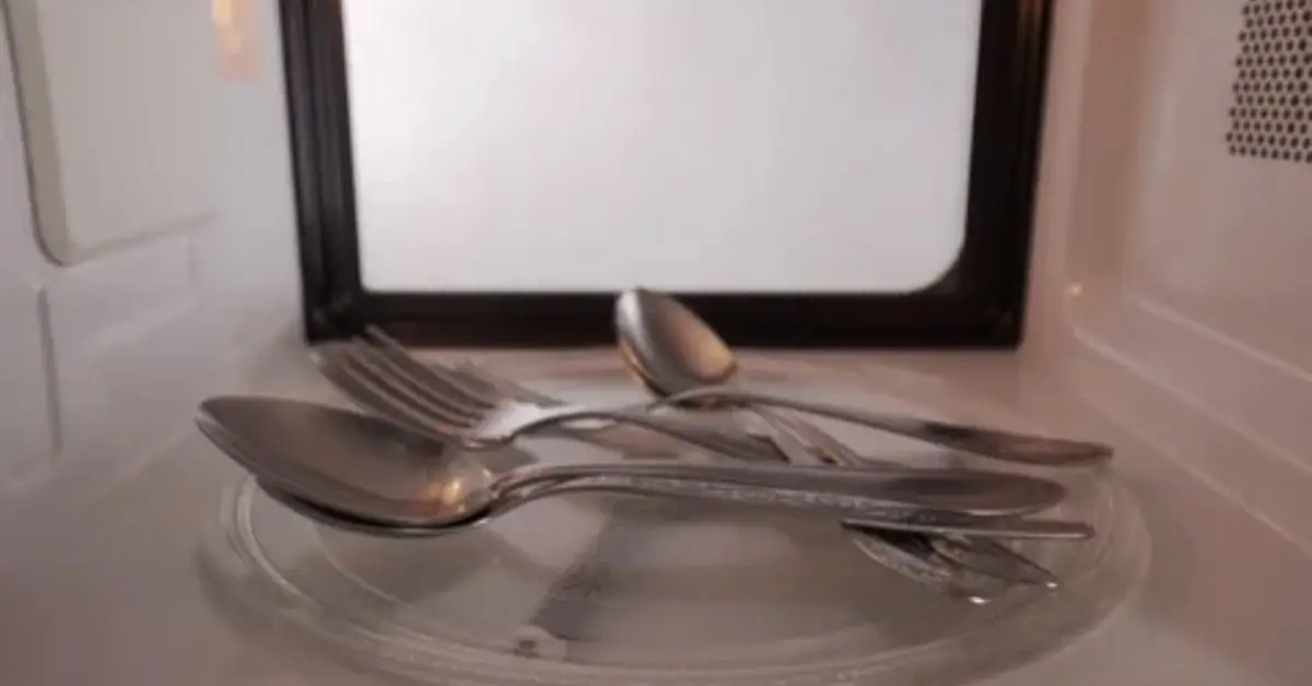 items not to microwave at home