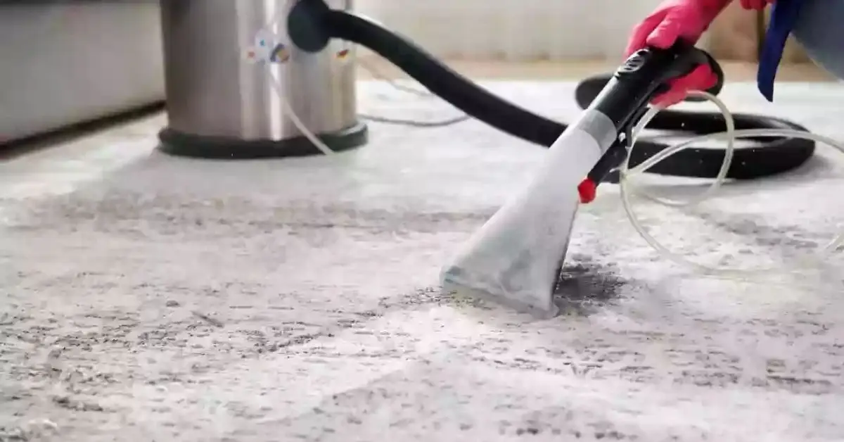 make old carpet look new