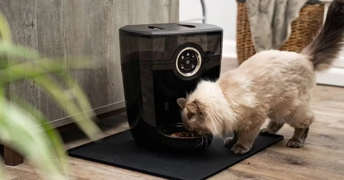 microwave safety for pet owners