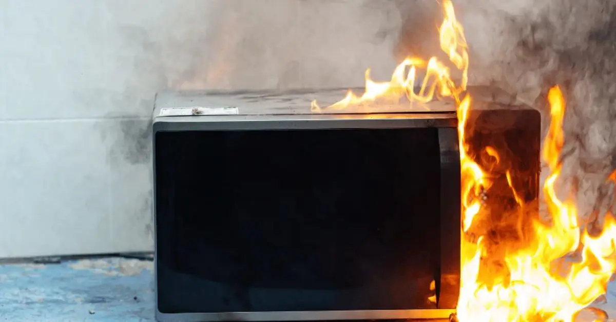 microwave safety for pet owners