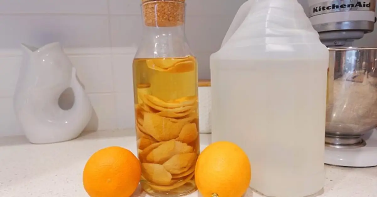 natural ways to stop ants winter