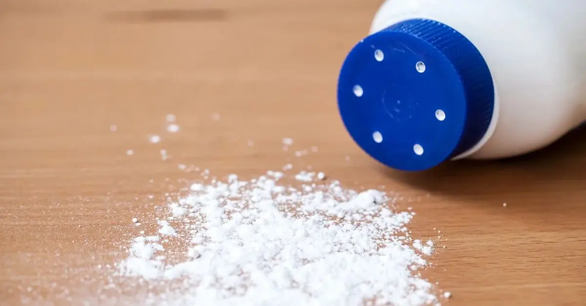 natural ways to stop ants winter