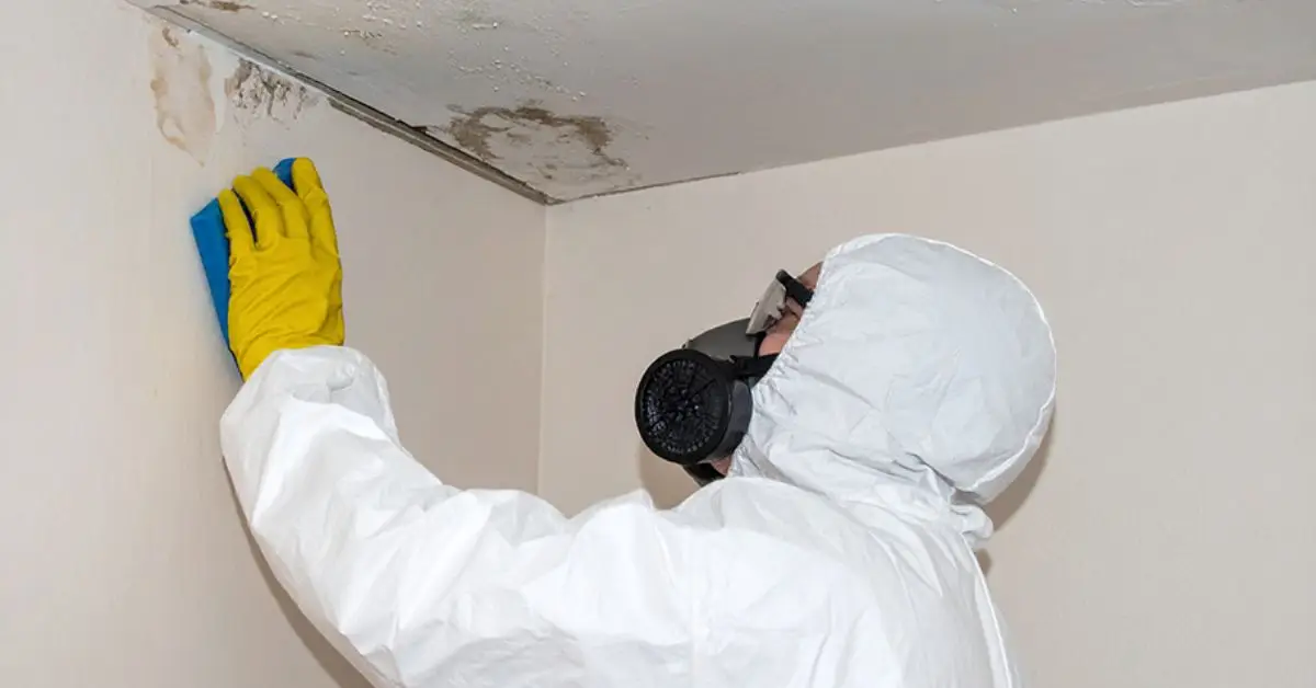 selling a house with mold