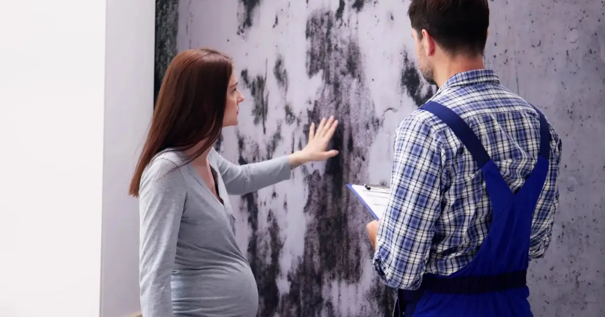 selling a house with mold