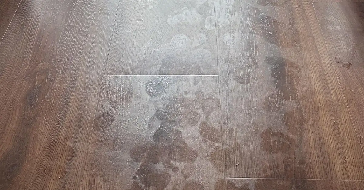 signs not mopping floors enough