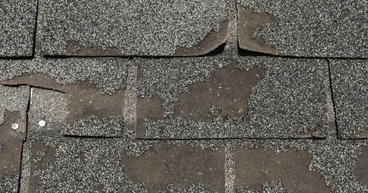 signs of trapped moisture under shingles