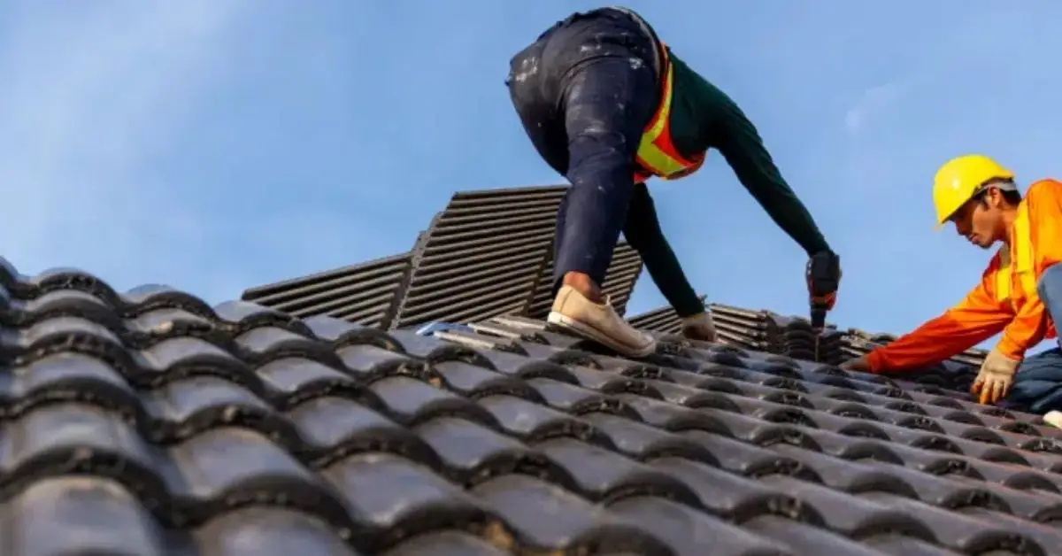 signs of trapped moisture under shingles