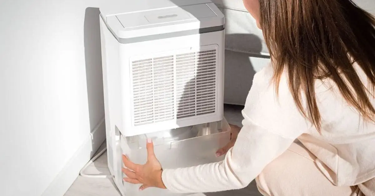 steps clean humidifier storage
