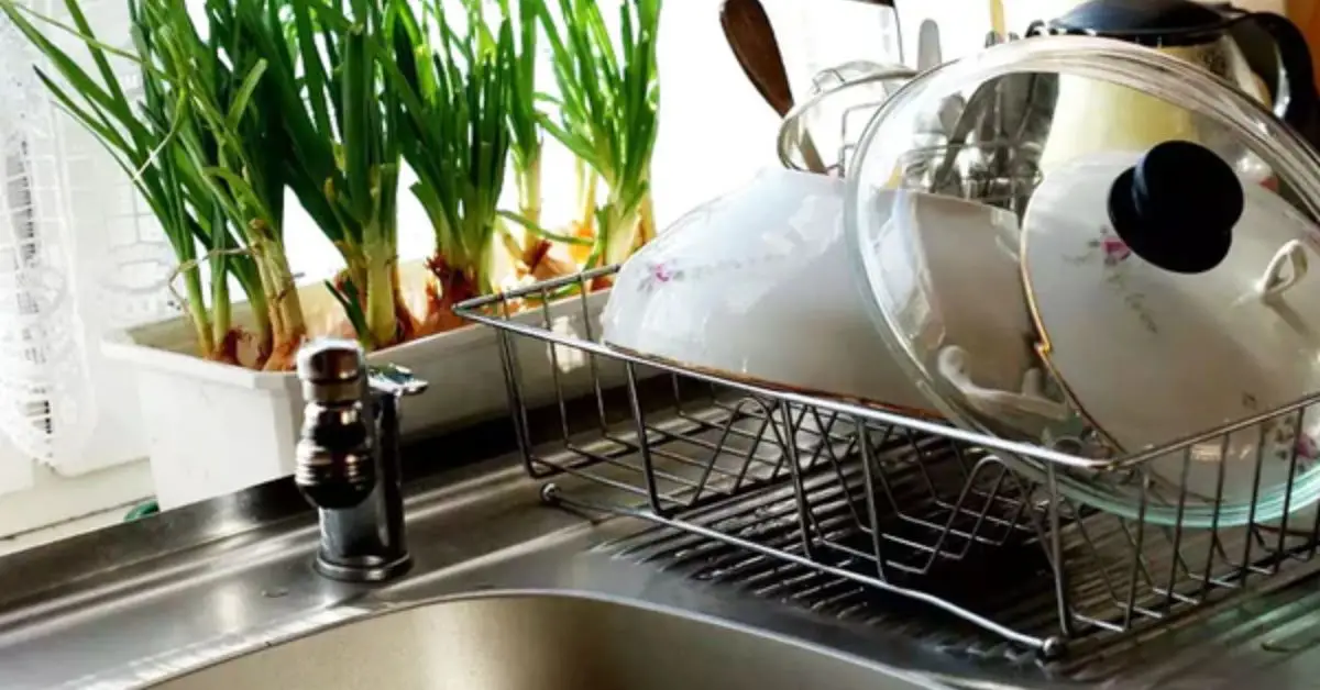 things to clean every day