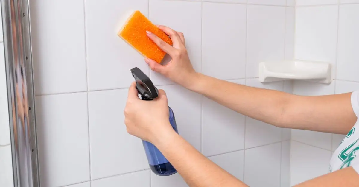 things to clean every day