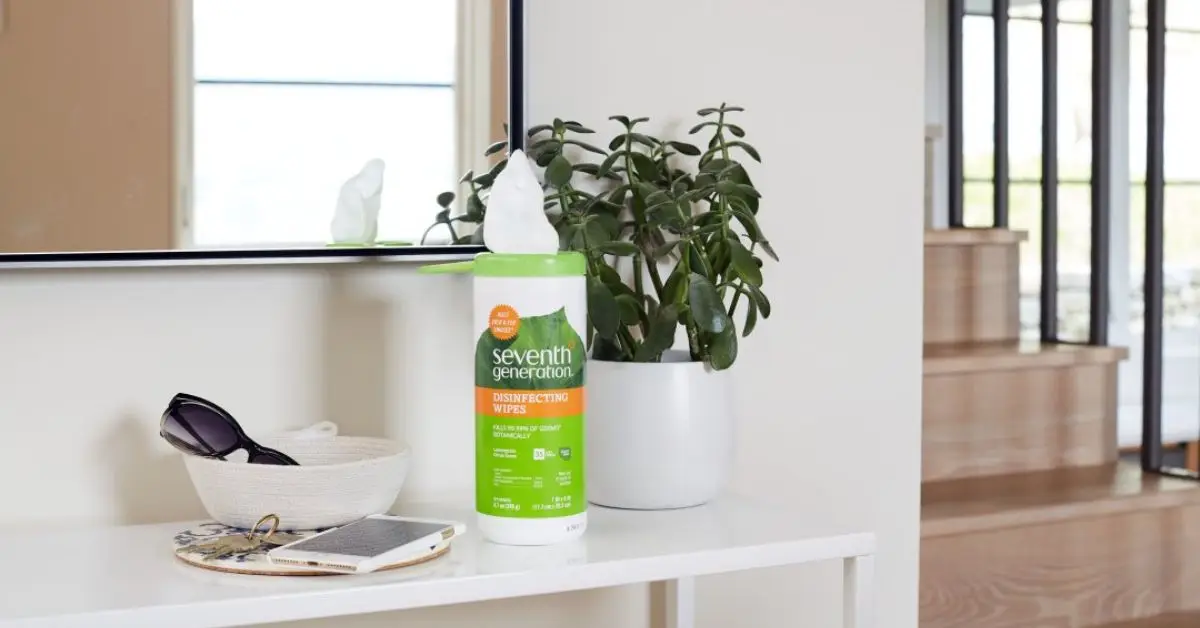 tips to keep your home clean germ free this winter