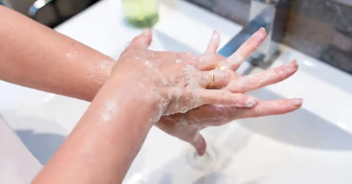 tips to keep your home clean germ free this winter