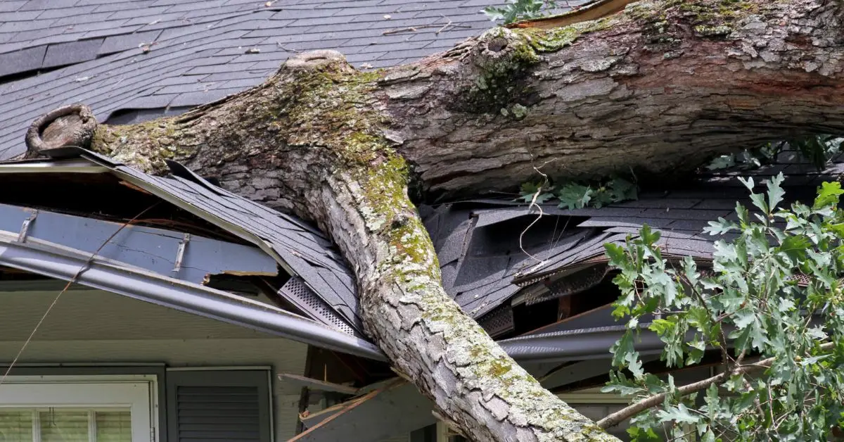 vacant house dealbreaker health safety