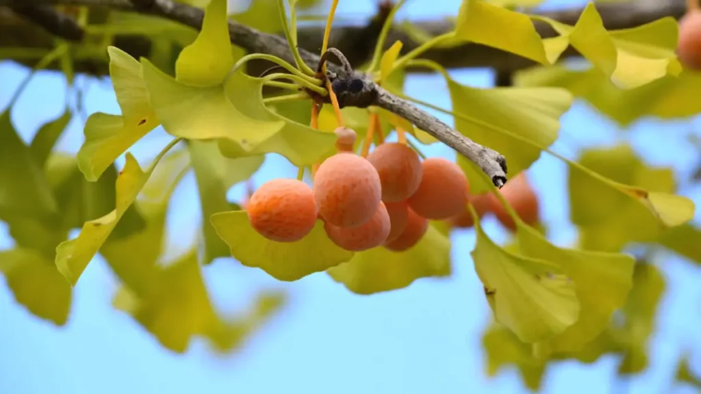 7 Disease-Resistant Trees For Yard