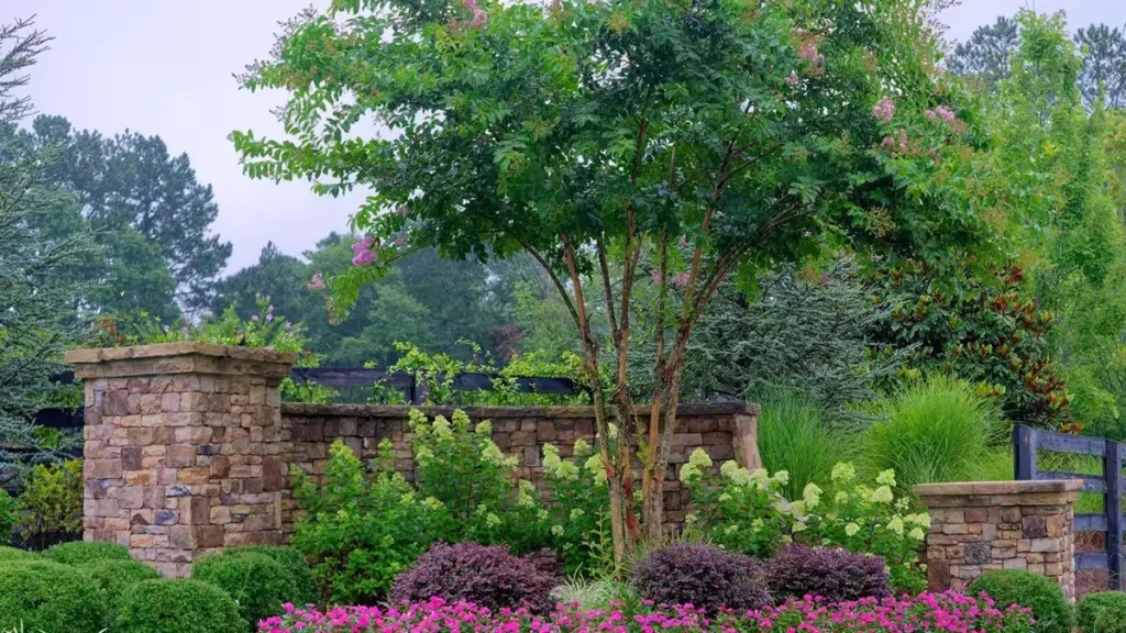 7 Disease-Resistant Trees For Yard