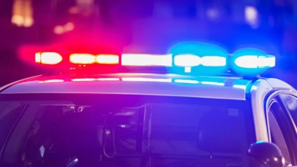 Darlington County Home Robbery