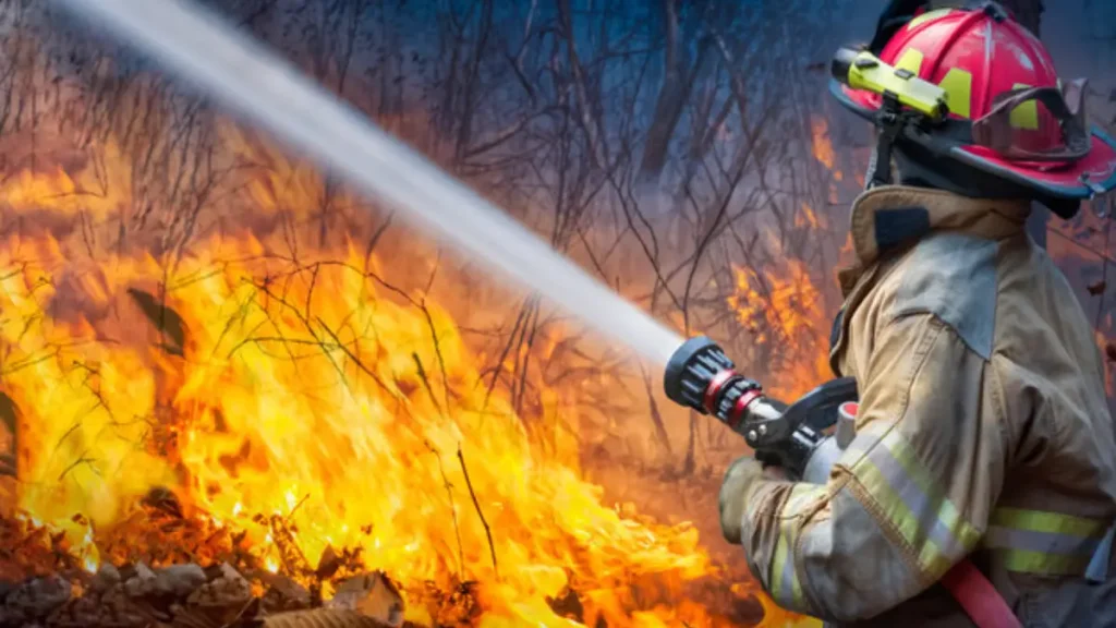Decatur Home Fire