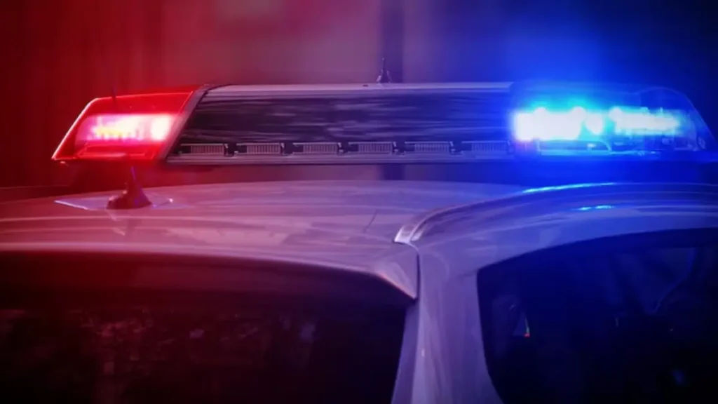 Elko Home Invasion