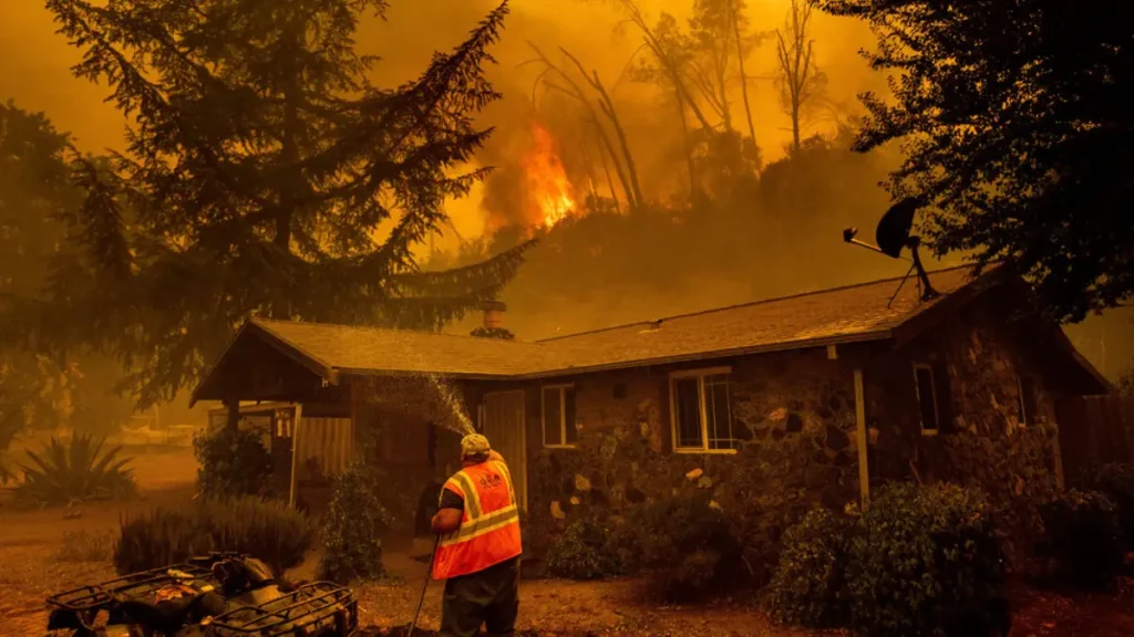How to Protect Your Home from Bushfires