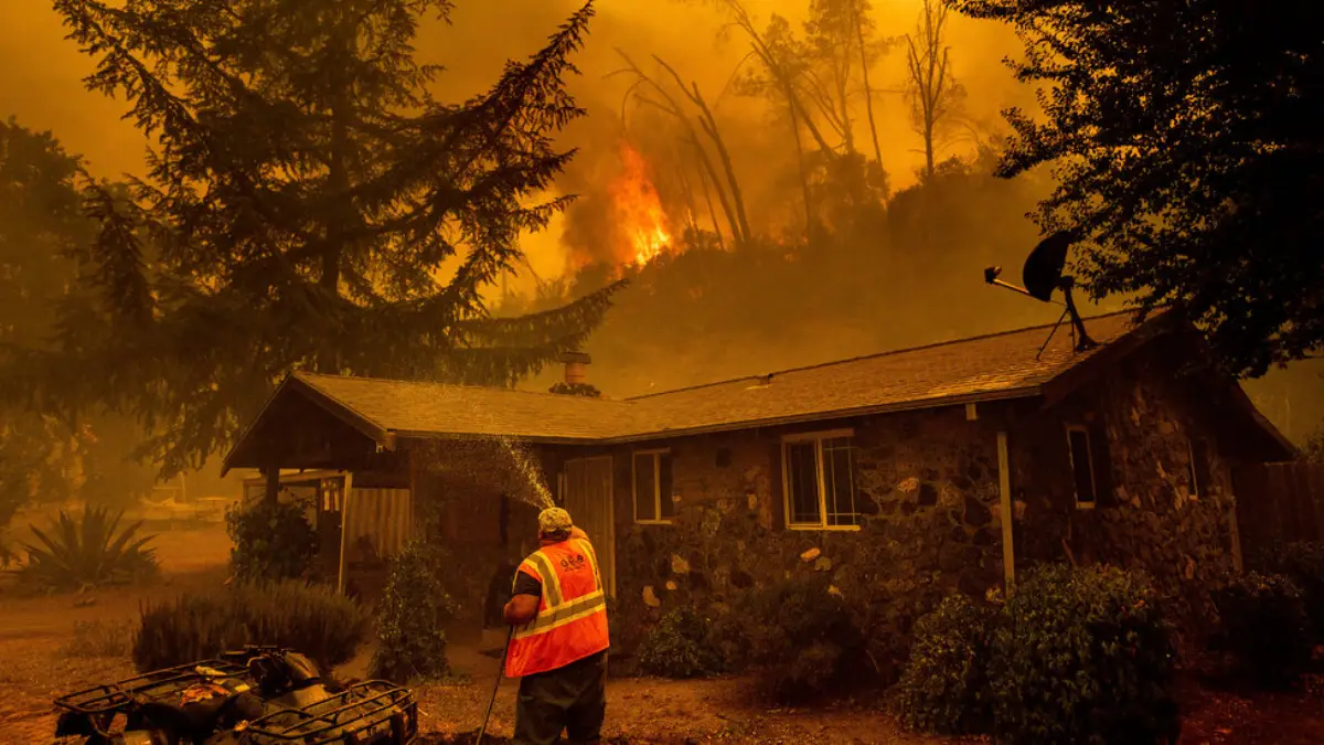 How to Protect Your Home from Bushfires