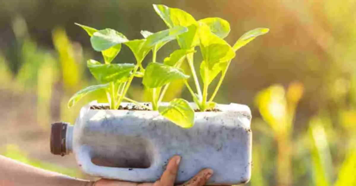 Reuse Plastic Planters at Home
