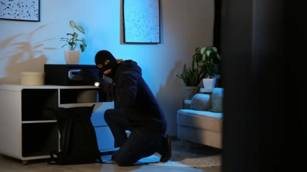 Washington DC Home Robbery