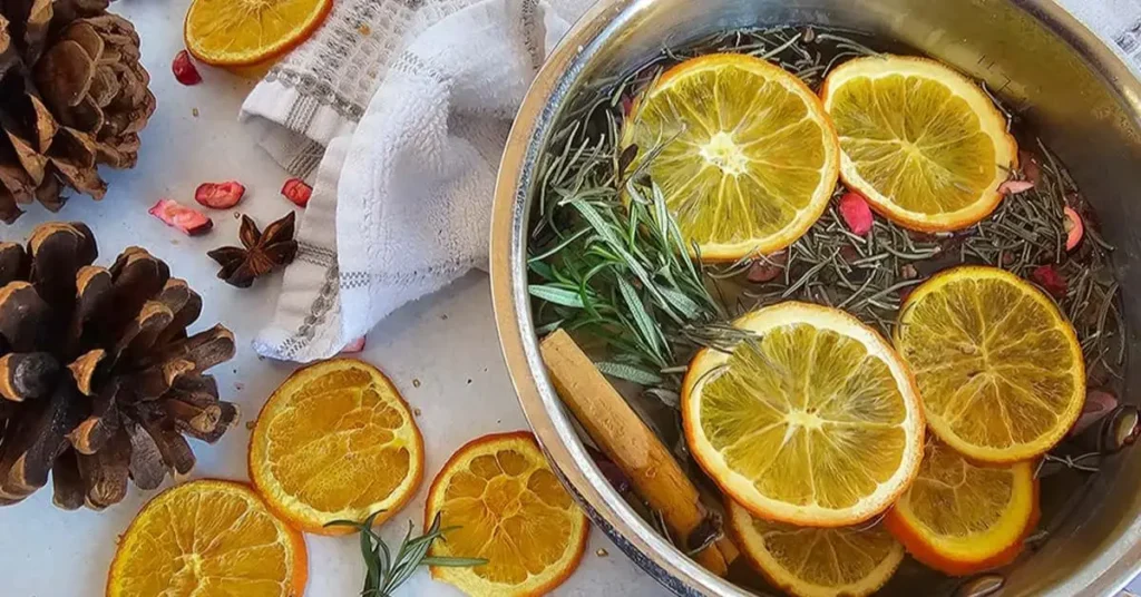 best simmer pot recipe