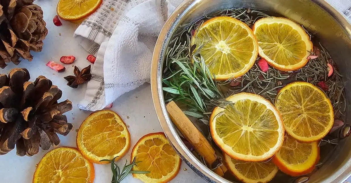 best simmer pot recipe