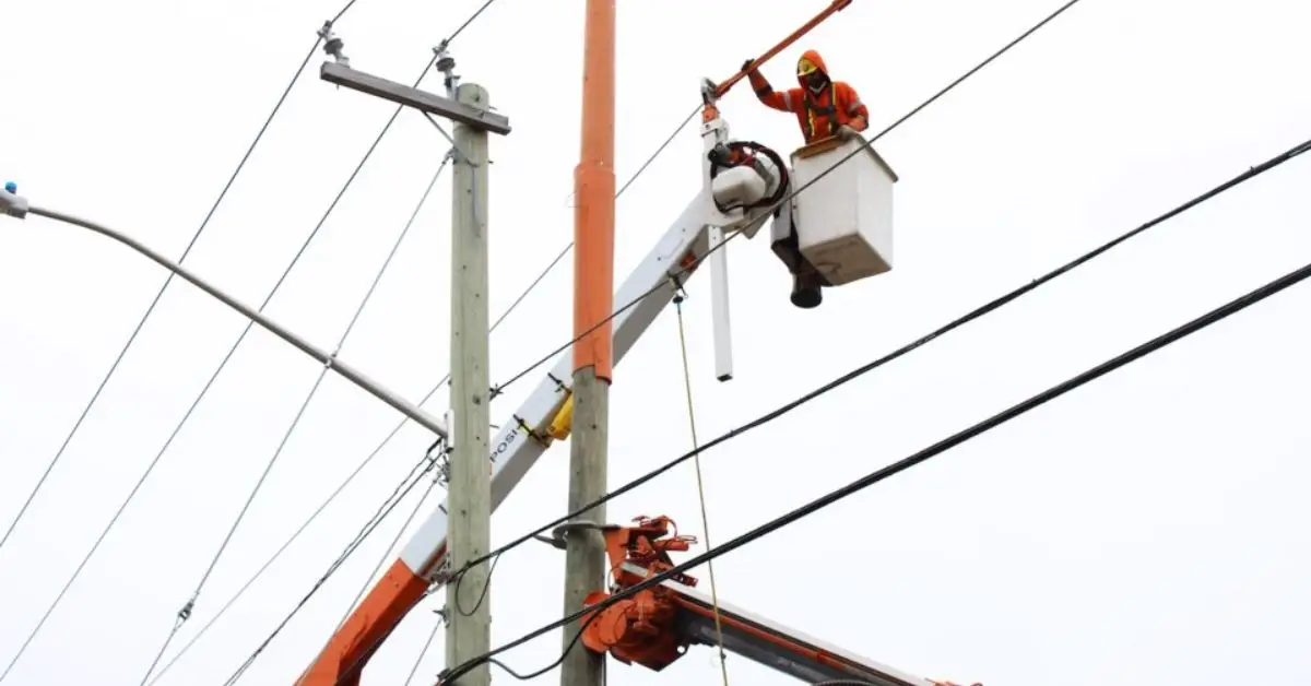can you plant trees near power lines
