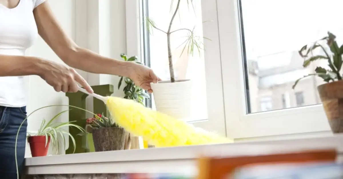 cleaning tools experts ditch for less clutter
