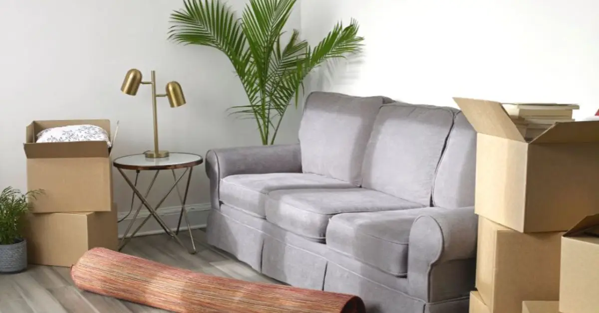 decluttering while moving