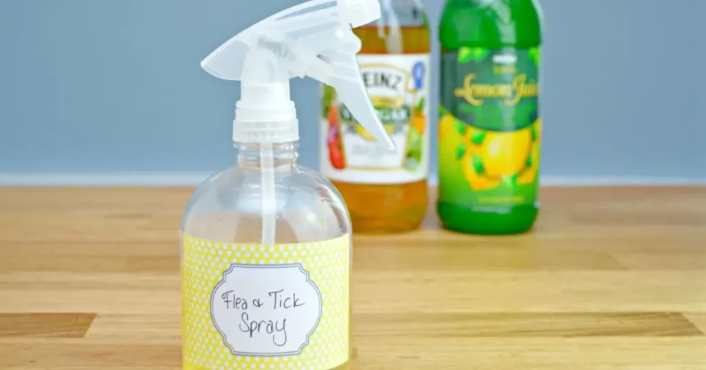 homemade flea repellent
